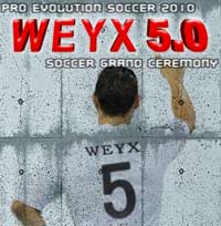ʵ2010 WEYX 5.0 ʢ䡷ǿ